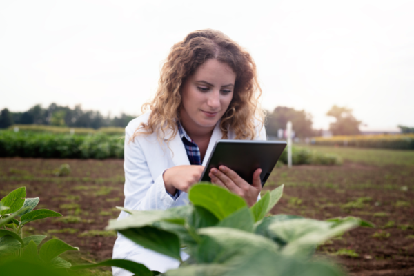 Digitalização impulsiona incentivos no agronegócio: como tecnologia está transformando pagamentos e gestão no campo